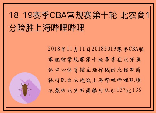 18_19赛季CBA常规赛第十轮 北农商1分险胜上海哔哩哔哩
